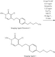 Figure US09603951-20170328-C00135