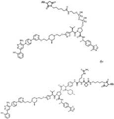 Figure BDA0004113777320001001