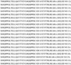 Figure DEST_PATH_IMAGE005