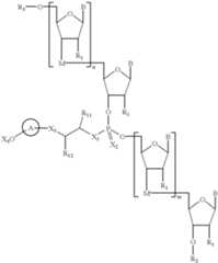 Figure US06399756-20020604-C00017