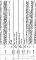 Figure BPA0000256061330002241