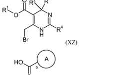 Figure imgf000163_0001