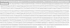 Figure US07026121-20060411-C00002