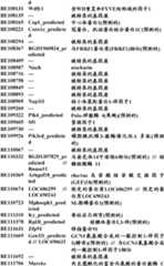 Figure BDA0000057170160001101