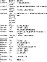 Figure BDA0000057170160002232