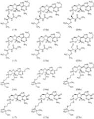 Figure imgf000056_0001