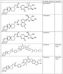 Figure imgf000178_0001
