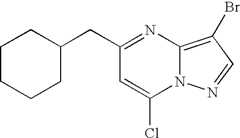 Figure US07119200-20061010-C00881
