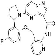 Figure pat00091