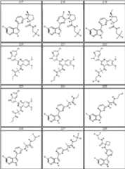 Figure BDA0000106649180000361