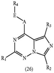 Figure imgf000064_0002