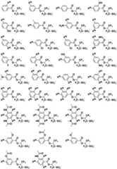 Figure 0007468295000095