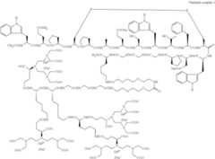 Figure US08278274-20121002-C00036