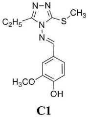 Figure BDA0002123043930000073