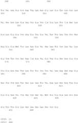 Figure BDA0002115172560001141