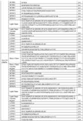 Figure imgf000099_0001