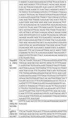 Figure BDA0004033970230004991