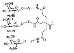 Figure 0007429103000204