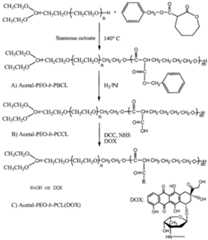 Figure imgf000011_0001