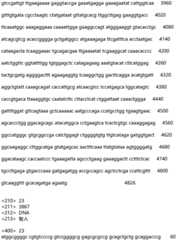 Figure IDA0002935257620000341