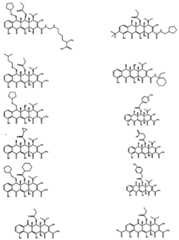 Figure imgf000040_0006