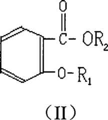 Figure S2008100563468D00031