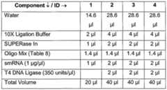 Figure imgf000026_0002