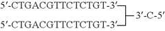 Figure US07851453-20101214-C00011
