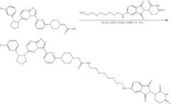 Figure US11969472-20240430-C00291