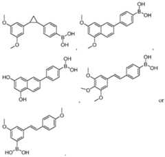 Figure imgf000052_0001
