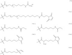 Figure US11492409-20221108-C00027