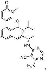 Figure BDA0003142399140001893