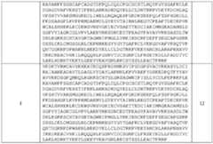 Figure imgf000060_0001