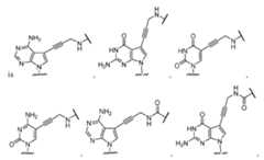 Figure imgf000092_0001