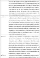 Figure GDA0002332994560000391