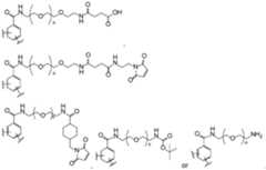 Figure imgf000023_0001