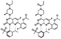 Figure BDA0002861043520000861