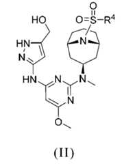 Figure 106114033-A0305-02-0089-5