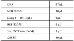 Figure PCTCN2019092116-APPB-000001