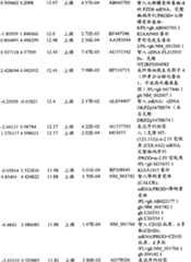 Figure BPA00001280678302251