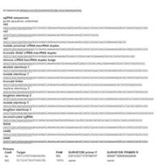 Figure imgf000543_0001