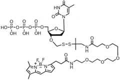 Figure imgf000235_0001