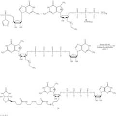Figure US08093367-20120110-C00020