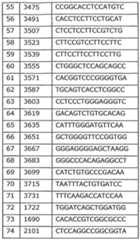Figure imgf000054_0001