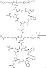 Figure imgf000267_0001