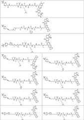 Figure PCTCN2022073822-appb-100176