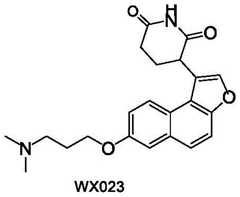 Figure GDA0003480931630000552