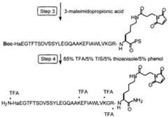 Figure imgf000061_0001