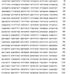 Figure 106137461-A0202-12-0283-135