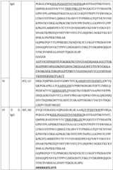 Figure BDA0004177795530000391